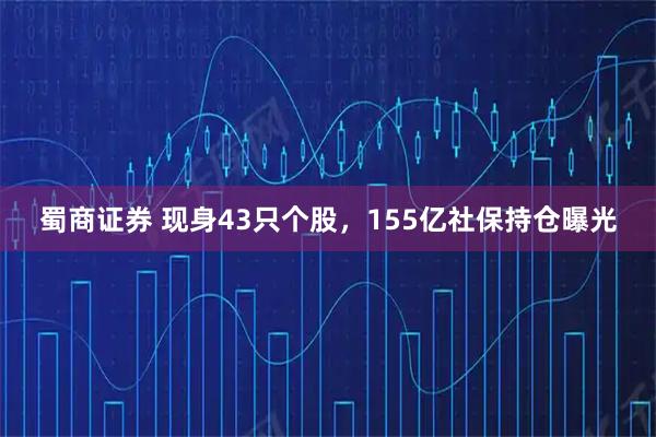 蜀商证券 现身43只个股，155亿社保持仓曝光