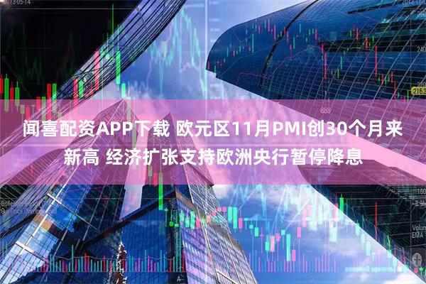 闻喜配资APP下载 欧元区11月PMI创30个月来新高 经济扩张支持欧洲央行暂停降息