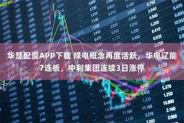 华楚配资APP下载 绿电概念再度活跃，华电辽能7连板，中利集团连续3日涨停