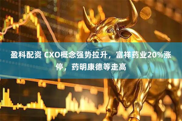 盈科配资 CXO概念强势拉升，富祥药业20%涨停，药明康德等走高